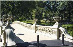 A Bridge in Central Park